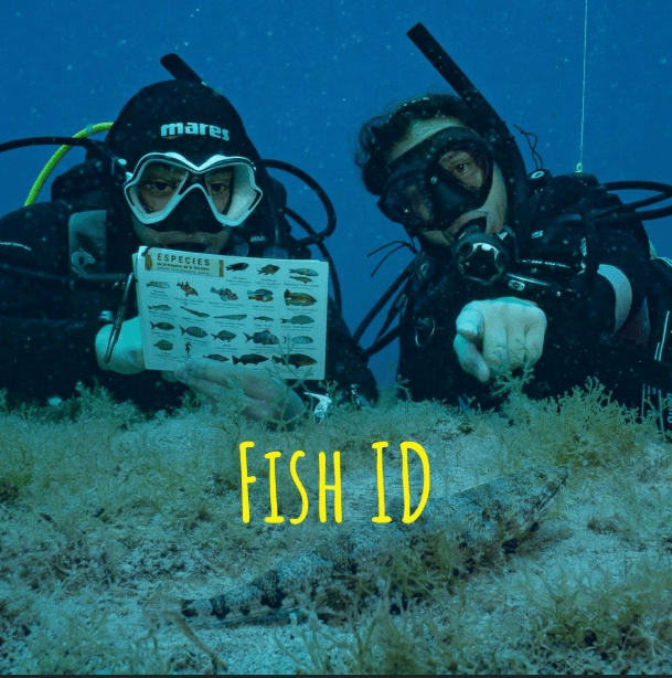 Identificación de Peces