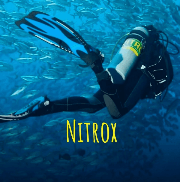 NITROX TEORÍA