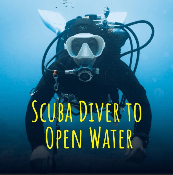 Scuba Diver a Open Water