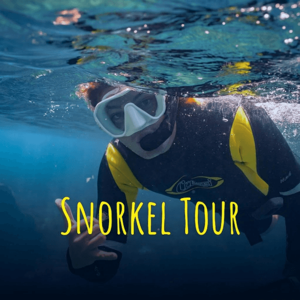 TOUR SNORKEL 