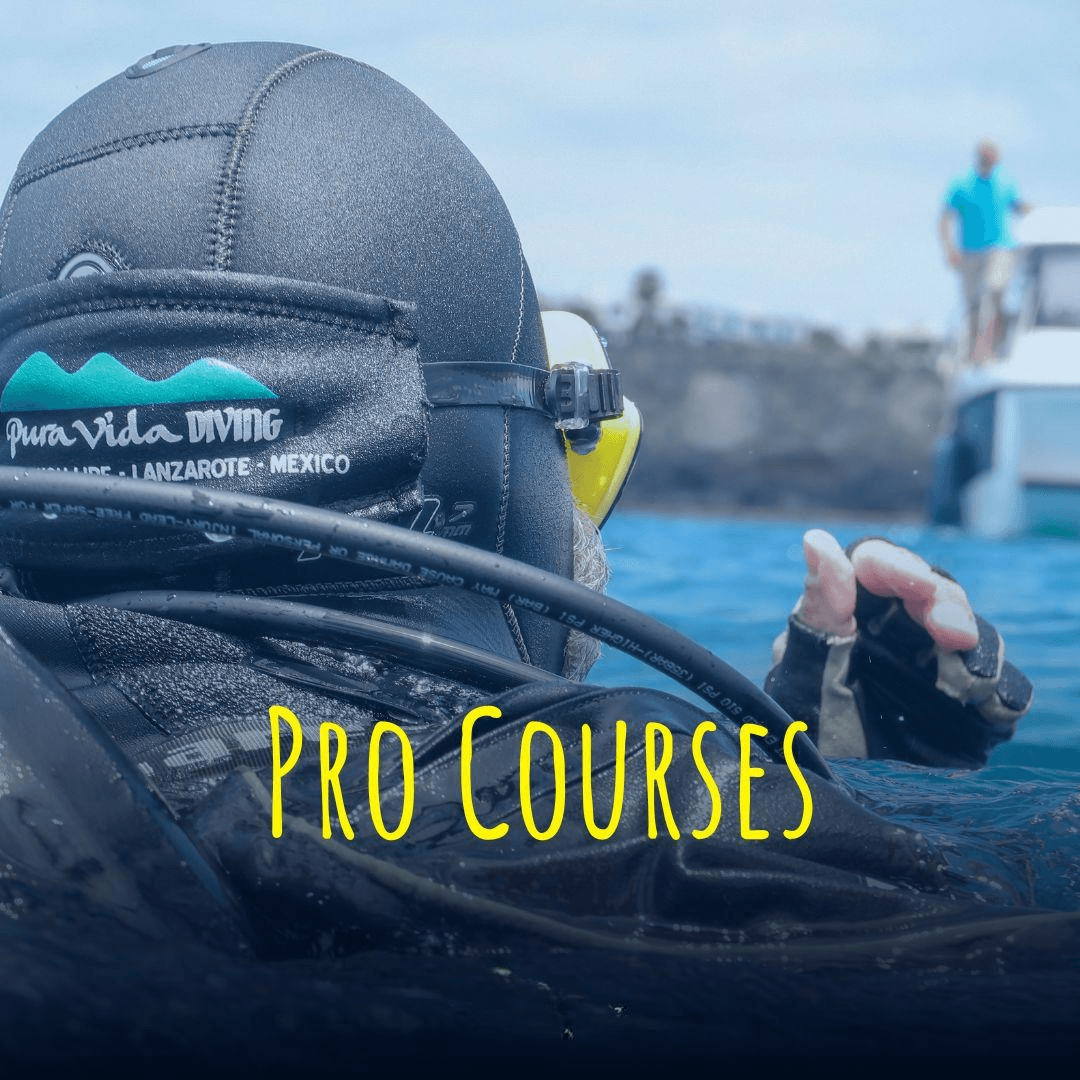 INSTRUCTOR ESPECIALIDADES