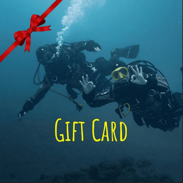 TARJETA REGALO 200€