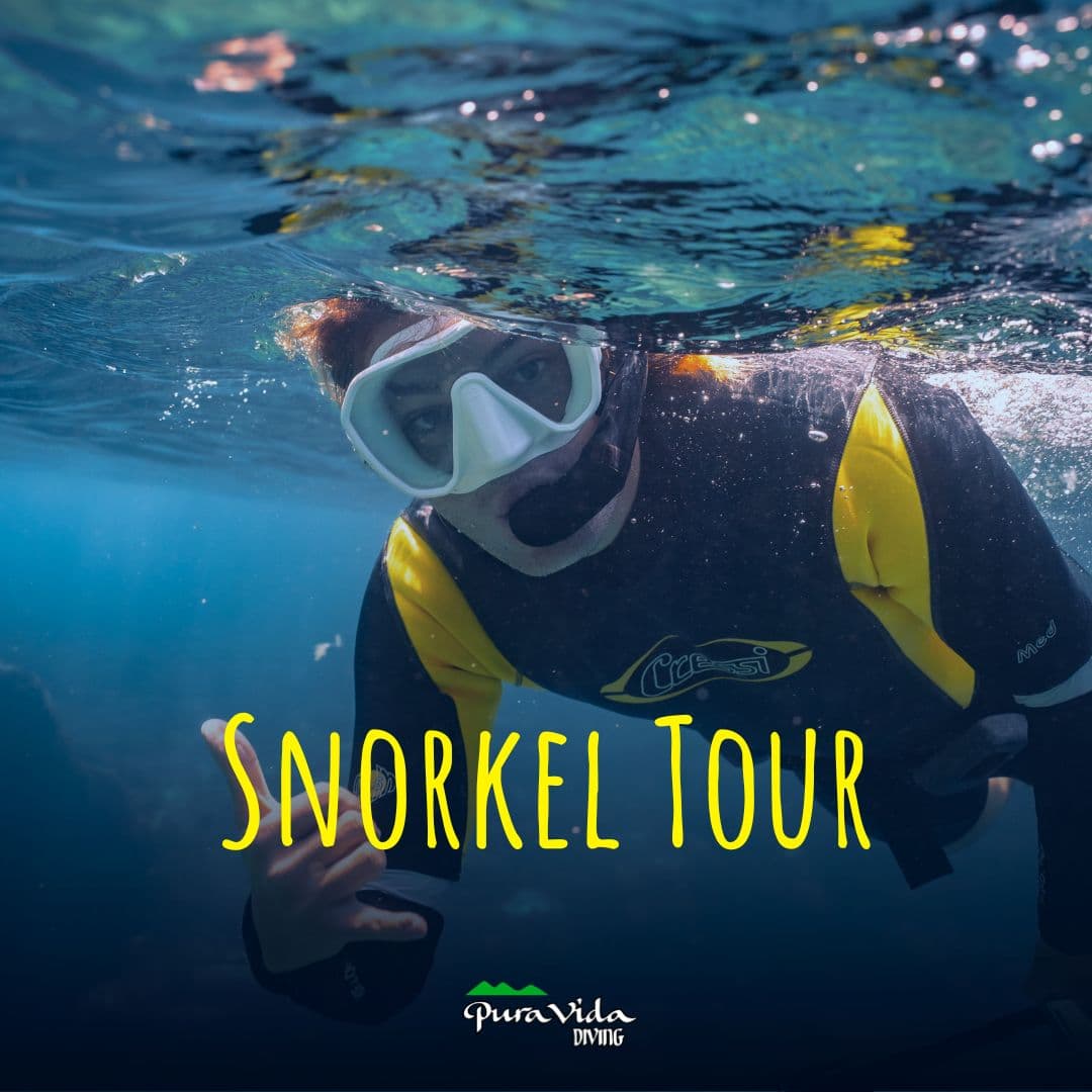 TOUR SNORKEL