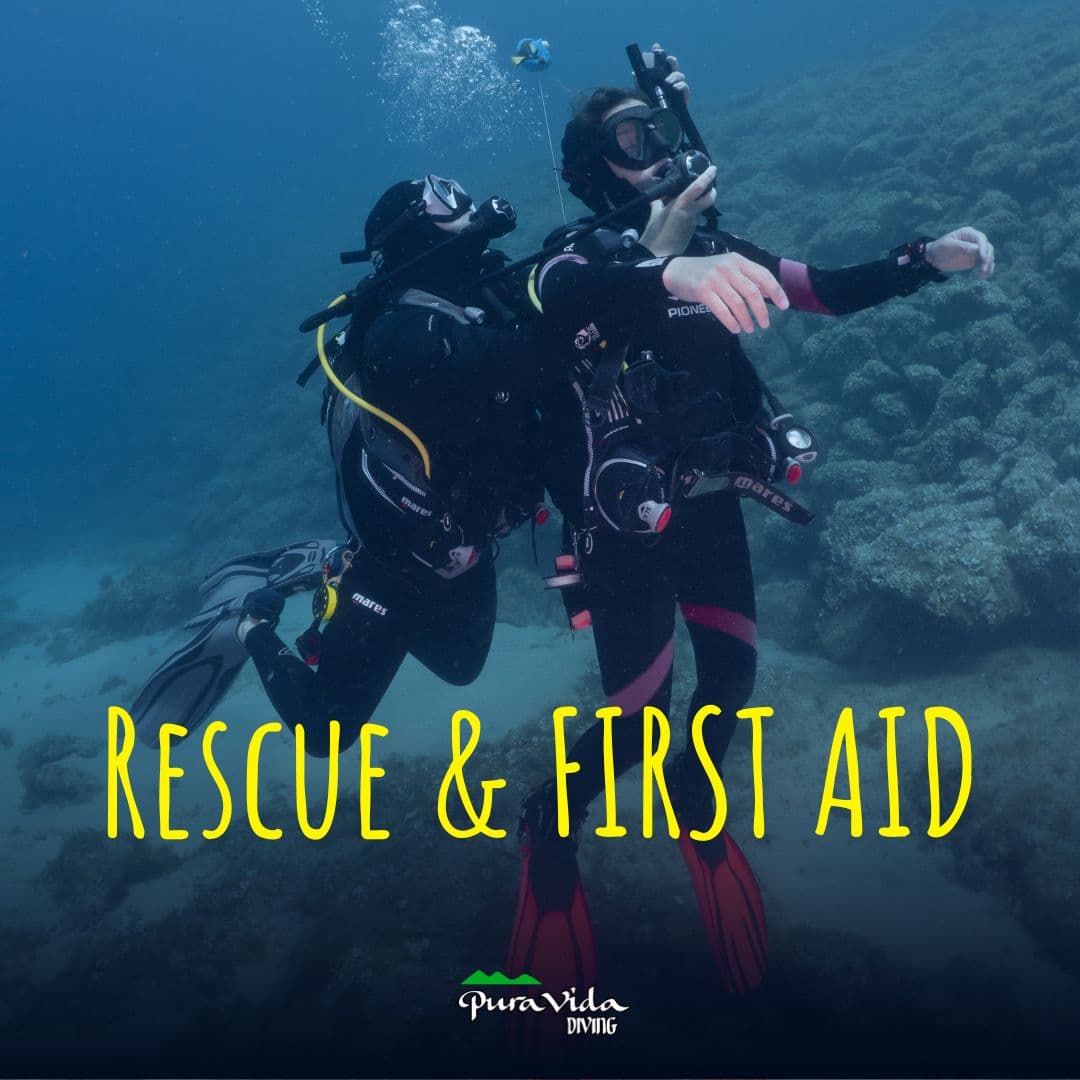 STRESS & RESCUE