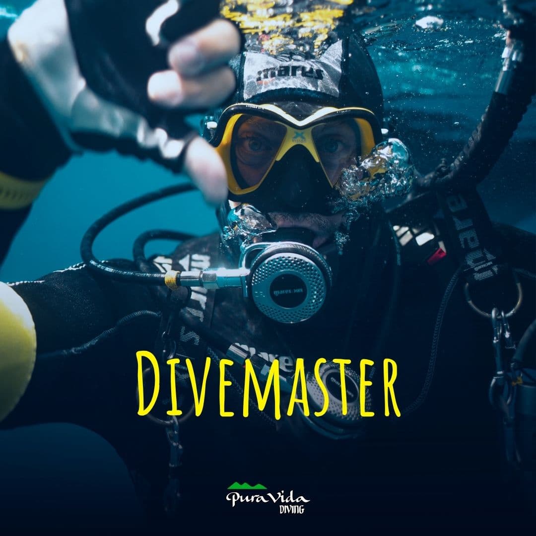 DIVEMASTER