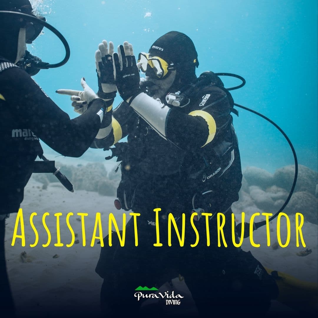 ASISTENTE INSTRUCTOR