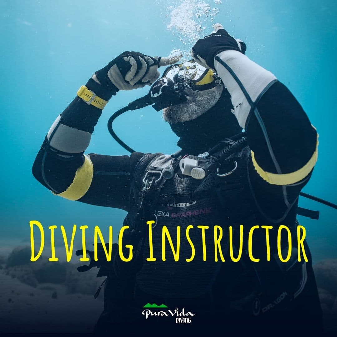 AI + Open Water Instructor