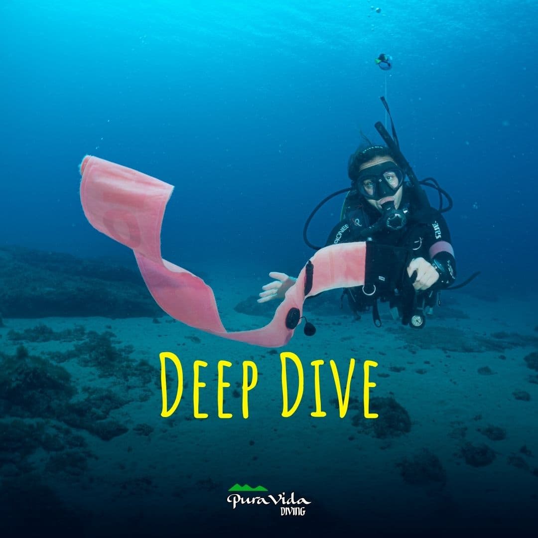BUCEO PROFUNDO