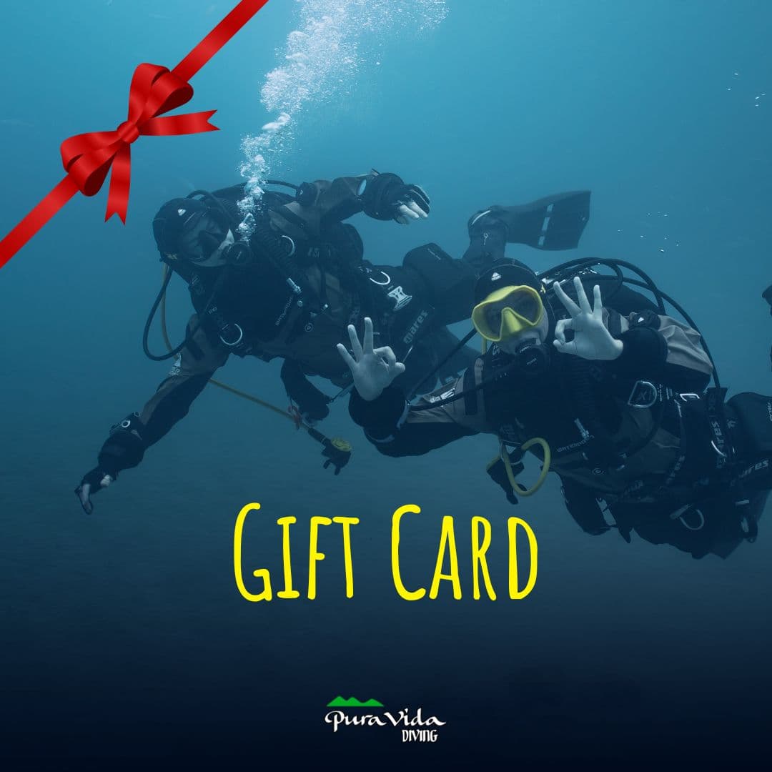 TARJETA REGALO
