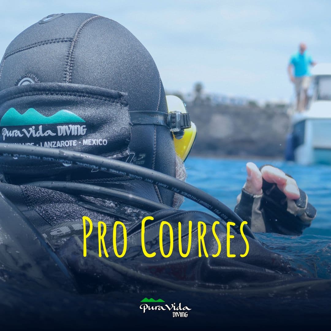 INSTRUCTOR ESPECIALIDADES