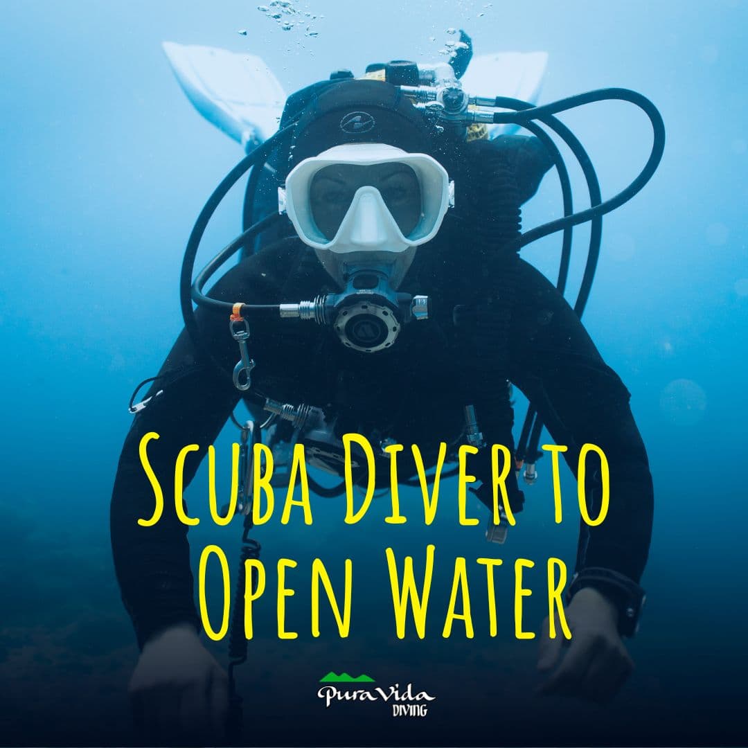 Scuba Diver a Open Water